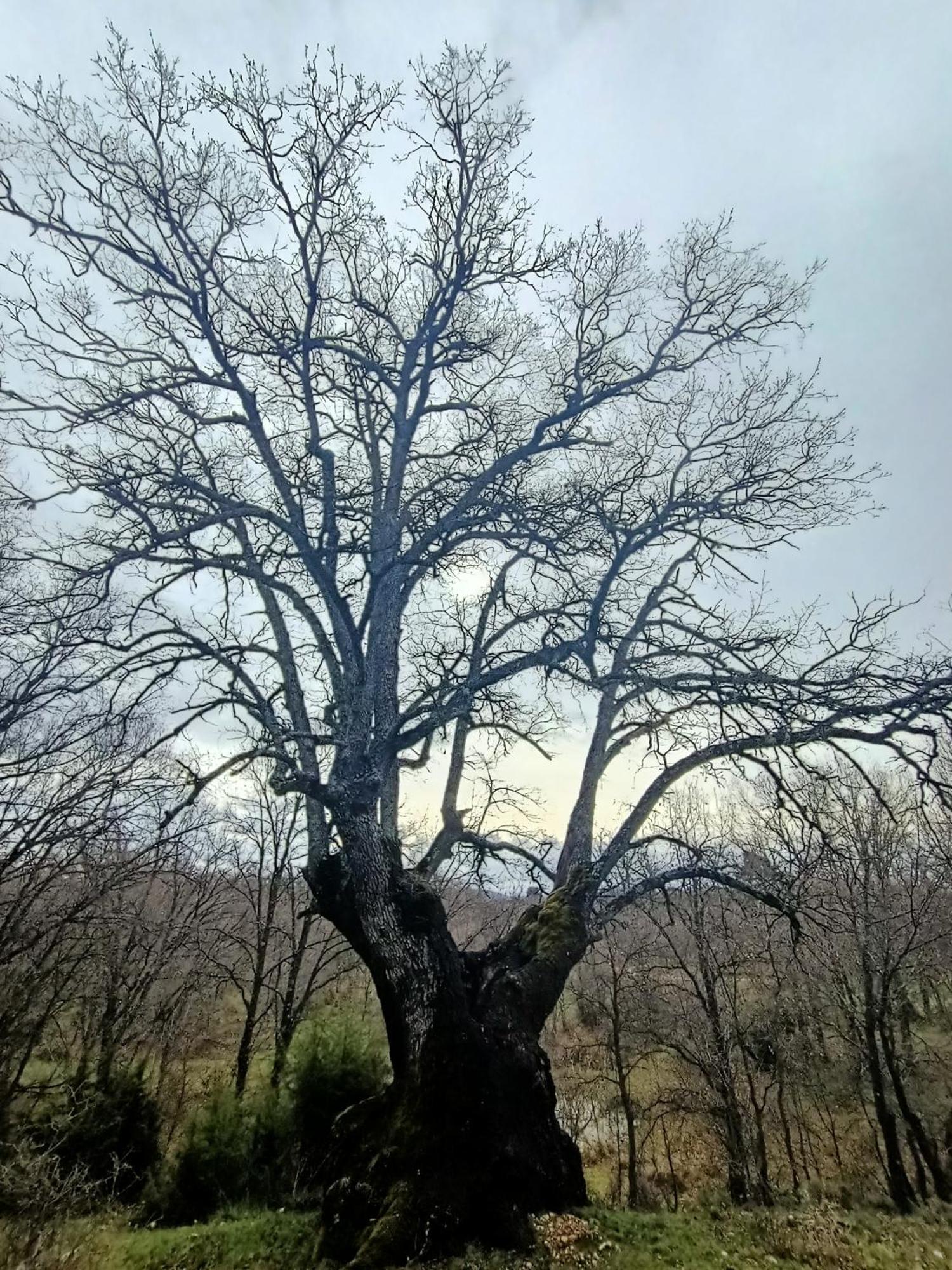 Alojamiento Rural El Cerro Fresneda de la Sierra 외부 사진