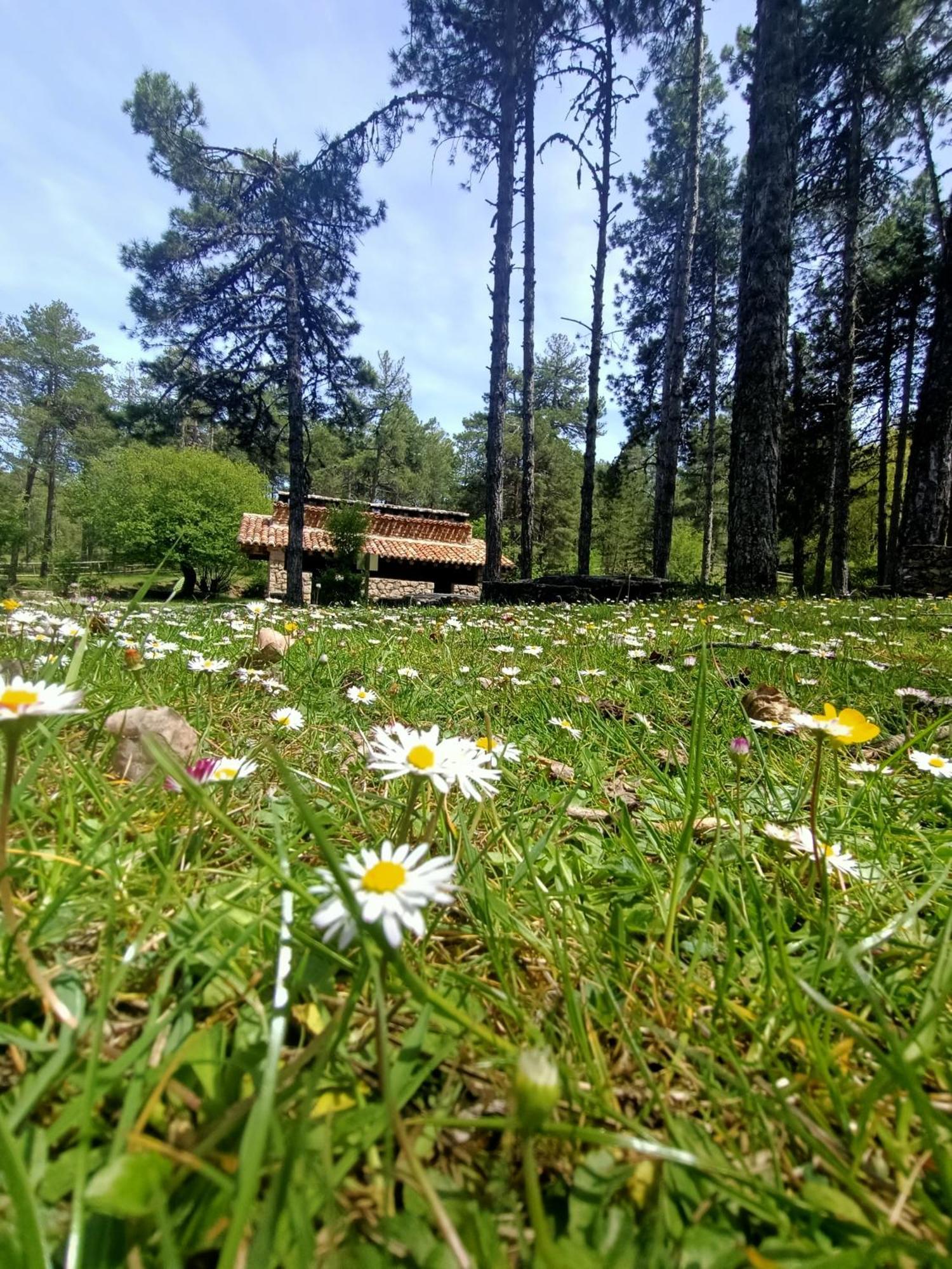 Alojamiento Rural El Cerro Fresneda de la Sierra 외부 사진